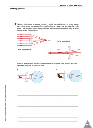 ©GRUPOANAYA,S.A.BiologíayGeología3.°ESO.Materialfotocopiableautorizado.
153
Nombre y apellidos:.....................................................................................................................................
B Existen dos tipos de lentes que permiten corregir estos defectos. Las lentes cónca-
vas o divergentes, que separan los rayos luminosos y hacen que se concentren más
atrás; y las lentes convexas o convergentes, que juntan los rayos luminosos y hacen
que converjan más adelante.
Unidad 4. Ficha de trabajo XI
3 4
Foco
FocoLente convergente
Lente divergente
Observa las imágenes y justifica qué lentes se han utilizado para corregir la miopía y
cuáles para corregir la hipermetropía.
.....................................................................................................................................
.....................................................................................................................................
.....................................................................................................................................
.....................................................................................................................................
.....................................................................................................................................
.....................................................................................................................................
.....................................................................................................................................
.....................................................................................................................................
.....................................................................................................................................
.....................................................................................................................................
 