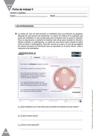©GRUPOANAYA,S.A.BiologíayGeología3.°ESO.Materialfotocopiableautorizado.
166
Nombre y apellidos:.....................................................................................................................................
Curso:..................................................................... Fecha: ....................................................................
Ficha de trabajo VFicha de trabajo V
UNIDAD
6
A La madre de Juan se está tomando un antibiótico para una infección de garganta.
Después de una semana de tratamiento, no mejora. El médico le ha explicado que
quizá ese antibiótico no sea el adecuado para la bacteria que le causa la infección.
Para no equivocarse y recetarle la medicina más eficaz para combatir la infección,
decide a realizar un antibiograma. La madre de Juan tiene mucho interés en saber
cómo se hace un antibiograma. Para ello, recurre a la web y en una de las páginas
de internet encuentra la información que se reproduce en la parte inferior. Léela y
responde a las actividades.
LOS ANTIBIOGRAMAS
Ir
RealizaciónDescripción Materiales
Halo de inhibición
Disco con antibiótico
Colonias de bacterias
Placa de Peri
ANTIBIOGRAMA
1) Se cultiva la bacteria en una placa de Petri.
2) A continuación se depositan en la placa de
cultivo distintos discos de papel, cada uno
impregnado por una determinada cantidad de
uno de los distintos antibióticos.
3) Al cabo de un tiempo, alrededor de cada
disco aparecerá una zona más o menos amplias
carente de bacterias, llamada halo de inhibición.
4) La eficacia del antibiótico vendrá determinada
por la extensión del halo de inhibición.
Para realizar un antibiograma se siguen los pasos:
MICROBIOLOGÍA Materia
Autor
Inicio Temario Vídeos Publicaciones
A
B
C
D
a) ¿Qué antibiótico es el más eficaz para combatir las bacterias de ese cultivo?
.................................................................................................................................
b) ¿Cuál el menos eficaz?
.................................................................................................................................
c) ¿Cómo lo has deducido?
.................................................................................................................................
 