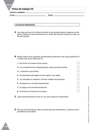 ©GRUPOANAYA,S.A.BiologíayGeología3.°ESO.Materialfotocopiableautorizado.
174
Nombre y apellidos:.....................................................................................................................................
Curso:..................................................................... Fecha: ....................................................................
Ficha de trabajo VIIFicha de trabajo VII
UNIDAD
7
A Las rocas que hay en la corteza se dividen en dos grandes grupos: exógenas y endó-
genas. Explica por qué se denominan así. Indica qué rocas se incluyen en cada uno
de estos grupos.
B Señala cuáles de las siguientes características pertenecen a las rocas plutónicas (P)
y cuáles a las rocas volcánicas (V).
1. Se forman en el exterior de la corteza.
2. Los minerales forman cristales grandes, todos de tamaño similar.
3. La sienita es una de ellas.
4. El enfriamiento del magma ha sido rápido o muy rápido.
5. Los minerales no cristalizan o forman cristales microscópicos.
6. El basalto es su principal representante.
7. El magma se ha enfriado lentamente.
8. Se forman en el interior de la corteza.
C ¿Qué transformaciones ocurren en una roca cuando se metamorfiza?
D Cita una roca formada por cada uno de los tipos de metamorfismo, ¿cuál es la princi-
pal diferencia entre ellas?
LAS ROCAS ENDÓGENAS
 