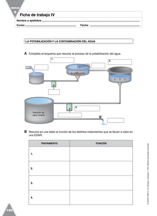 ©GRUPOANAYA,S.A.BiologíayGeología3.°ESO.Materialfotocopiableautorizado.
190
Nombre y apellidos:.....................................................................................................................................
Curso:..................................................................... Fecha: ....................................................................
Ficha de trabajo IVFicha de trabajo IV
UNIDAD
9
A Completa el esquema que resume el proceso de la potabilización del agua.
LA POTABILIZACIÓN Y LA CONTAMINACIÓN DEL AGUA
B Resume en una tabla la función de los distintos tratamientos que se llevan a cabo en
una EDAR.
TRATAMIENTO FUNCIÓN
1.
2.
3.
4.
Depósito de
agua tratada
Filtros
de arena
1.
2.
par
3.
 