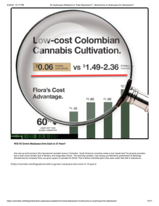 5/30/22, 12:17 PM An Ayahuasca Weekend to Treat Depression? - Mushrooms or Ayahuasca for Depression?
https://cannabis.net/blog/medical/an-ayahuasca-weekend-to-treat-depression-mushrooms-or-ayahuasca-for-depression 10/11
(https://cannabis.net/blog/opinion/will-us-grown-marijuana-even-exist-in-10-years)
OPINION
Will US Grown Marijuana Even Exist in 10 Years?
One new up-and-coming in the international cannabis scene is Colombia.  South American countries create a nice “sweet spot” for growing cannabis
due to their moist climate, lack of Winters, and cheap labor forces.  The stunning numbers I saw during Luis Merchan’s presentation at Benzinga
showed that his company, Flora, can grow a gram of cannabis for $0.60. That is before Colombia gets a few years under their belt in experience,…
 