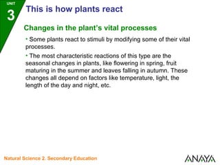 • Some plants react to stimuli by modifying some of their vital
processes.
• The most characteristic reactions of this type are the
seasonal changes in plants, like flowering in spring, fruit
maturing in the summer and leaves falling in autumn. These
changes all depend on factors like temperature, light, the
length of the day and night, etc.
Changes in the plant’s vital processes
UNIT
3
This is how plants react
Natural Science 2. Secondary Education
 