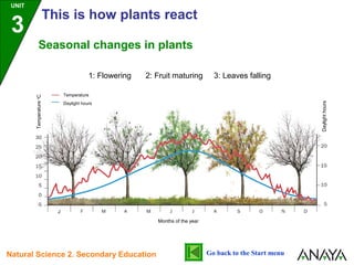 Seasonal changes in plants
1: Flowering 2: Fruit maturing 3: Leaves falling
Months of the year
Temperatureo
C
Temperature
Daylight hours
J
Daylighthours
UNIT
3
This is how plants react
Go back to the Start menuNatural Science 2. Secondary Education
 