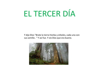 EL TERCER DÍA

Y dijo Dios "Brote la tierra hierba y árboles, cada uno con
sus semilla . “ Y así fue. Y vio Dios que era bueno.
 