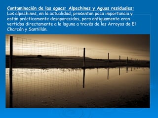 Contaminación de las aguas: Alpechines y Aguas residuales: Los alpechines, en la actualidad, presentan poca importancia y están prácticamente desaparecidos, pero antiguamente eran vertidos directamente a la laguna a través de los Arroyos de El Charcón y Santillán. 