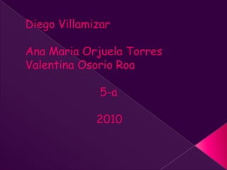 Diego Villamizar Ana Maria Orjuela Torres  Valentina Osorio Roa                       5-a                      2010 