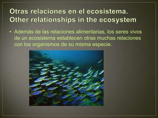 • Además de las relaciones alimentarias, los seres vivos
de un ecosistema establecen otras muchas relaciones
con los organismos de su misma especie.

 