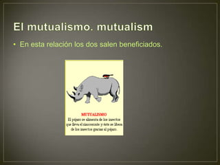 • En esta relación los dos salen beneficiados.

 