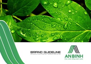 Thiết kế logo công ty giải pháp nông nghiệp An Bình - Guideline An Bình