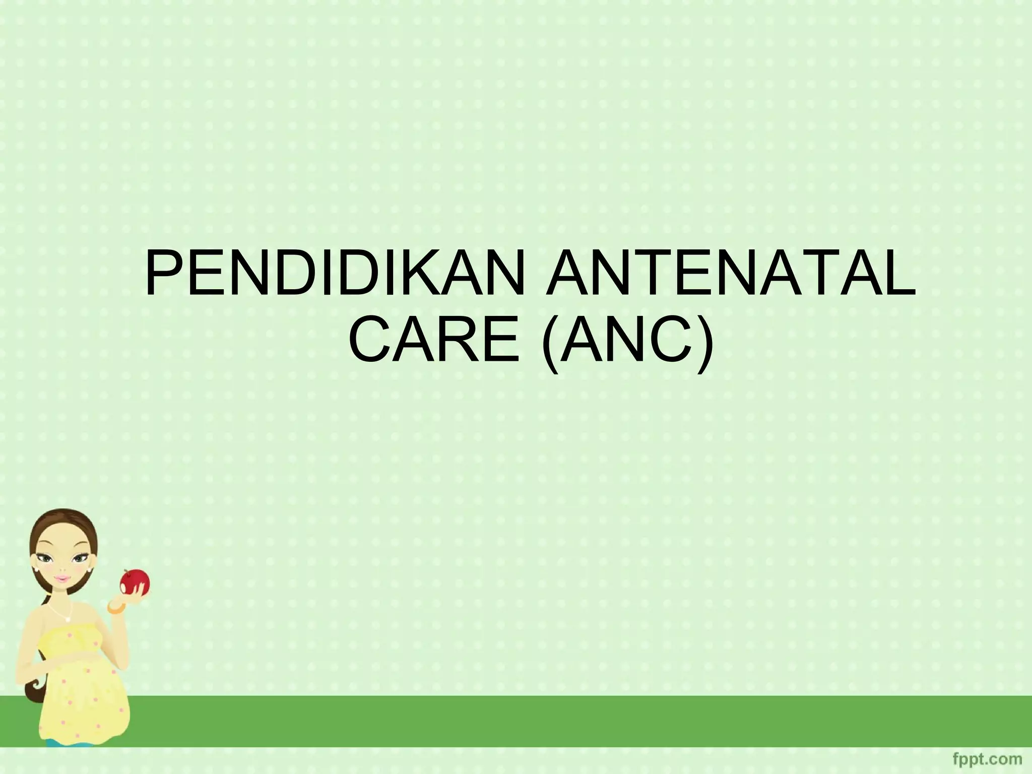 PENDIDIKAN ANTENATAL
     CARE (ANC)
 