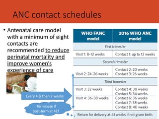 Comprehensive Antenatal Care: Objectives, Models, and Practices for ...