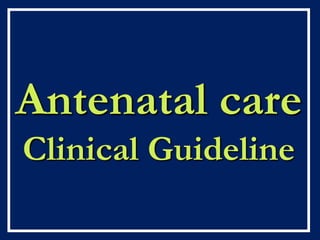 Antenatal care
Clinical Guideline
 