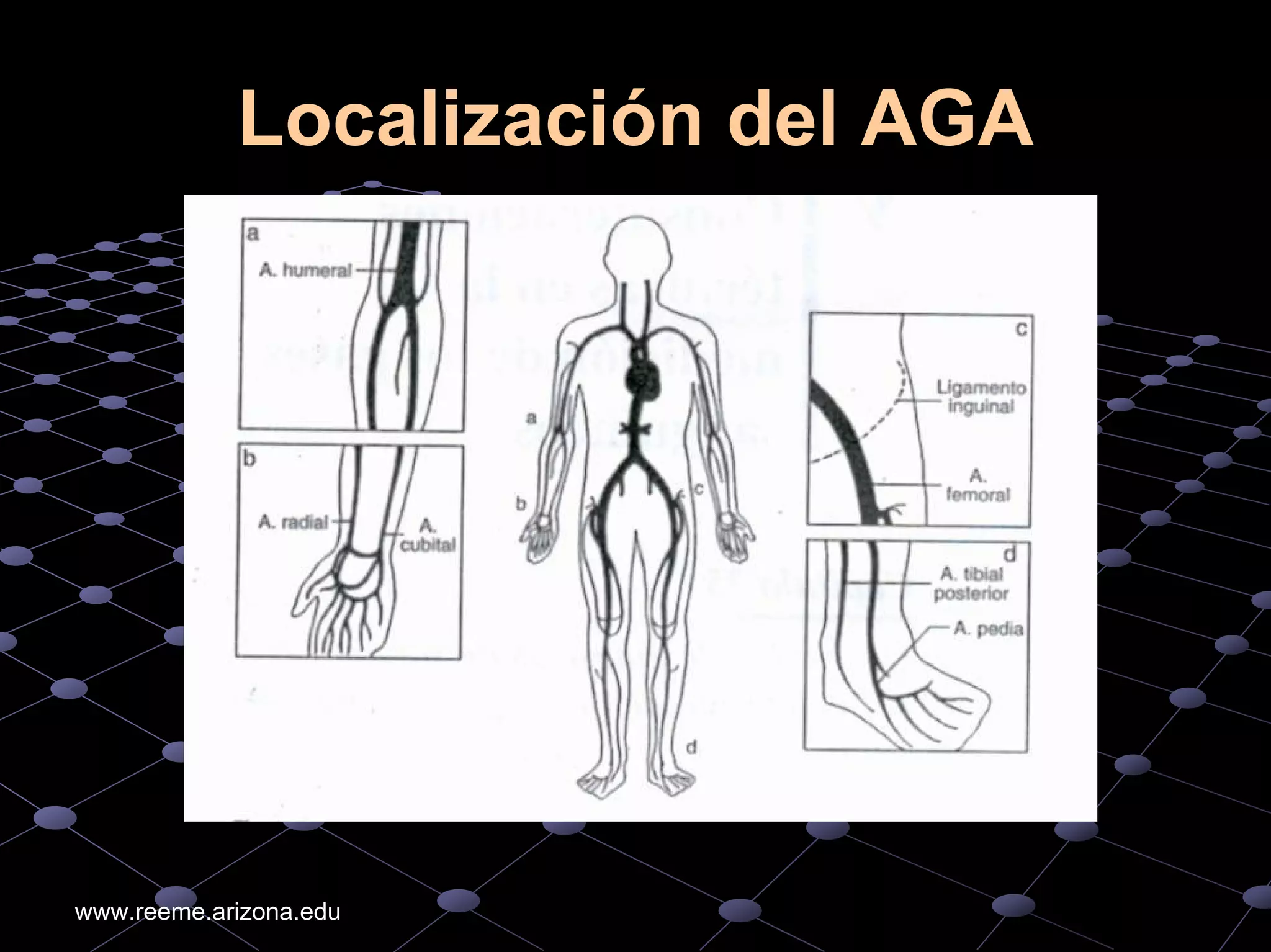 An%c3%a1lisis%20de%20 gases%20arteriales higado%20ri%c3%b1on%20diabetes ...