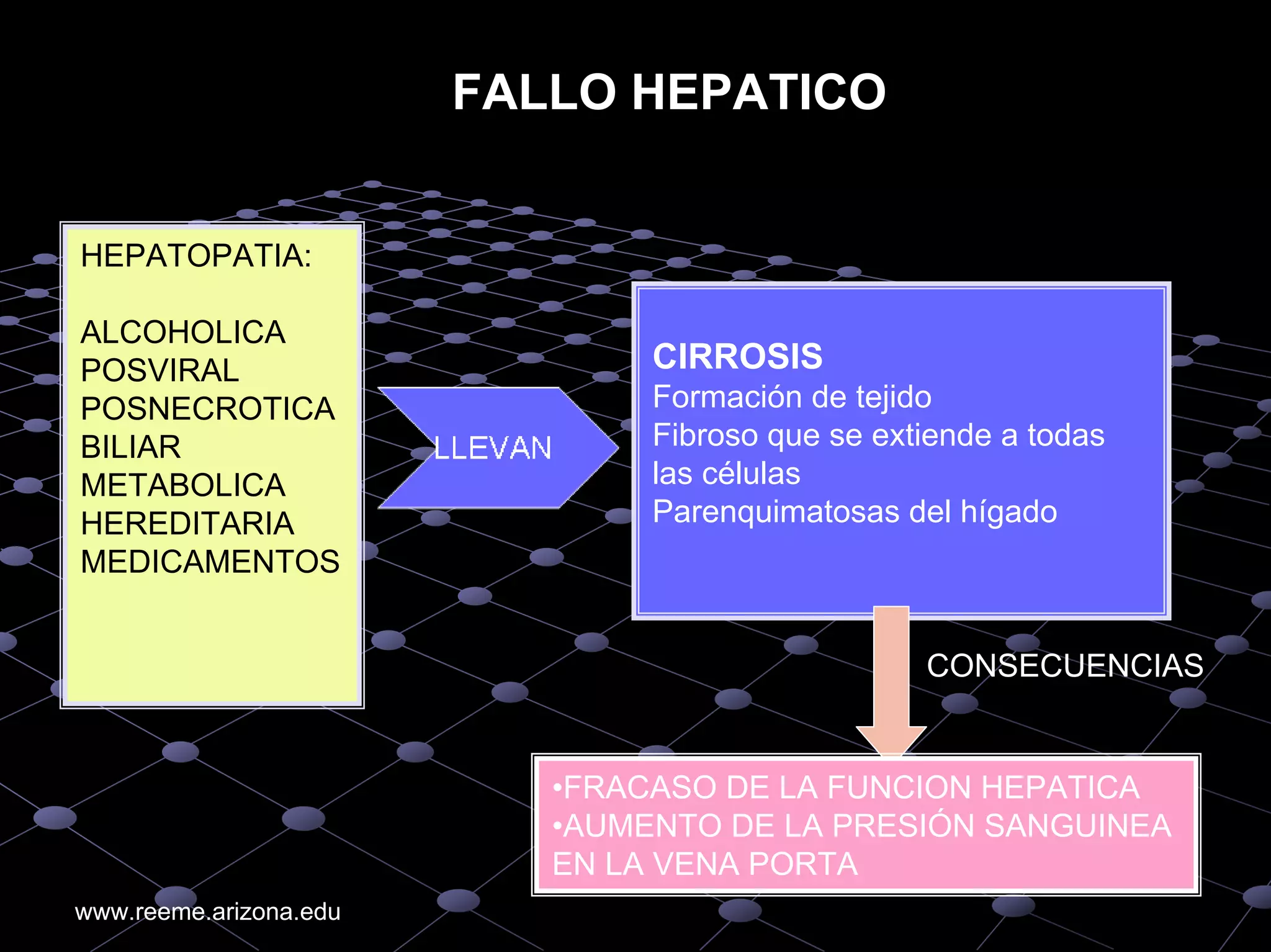 An%c3%a1lisis%20de%20 gases%20arteriales higado%20ri%c3%b1on%20diabetes ...
