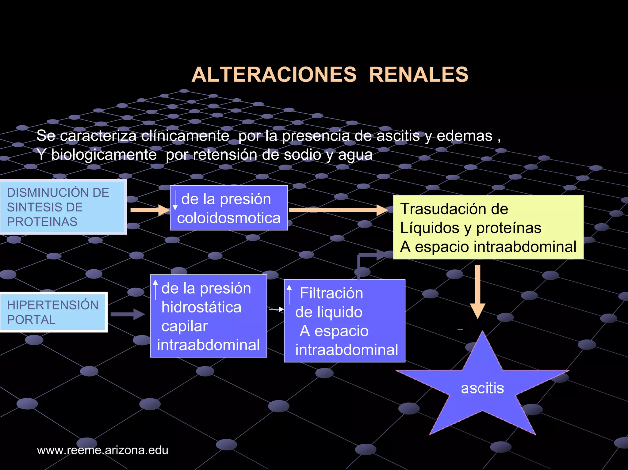An%c3%a1lisis%20de%20 gases%20arteriales higado%20ri%c3%b1on%20diabetes ...