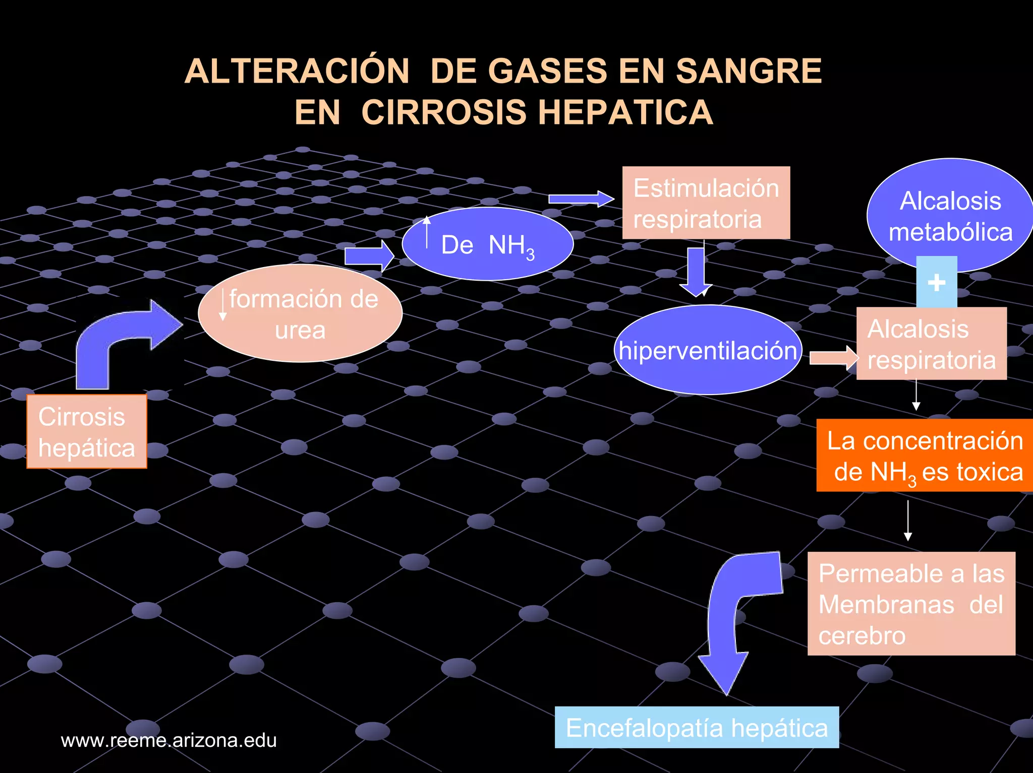 An%c3%a1lisis%20de%20 gases%20arteriales higado%20ri%c3%b1on%20diabetes ...