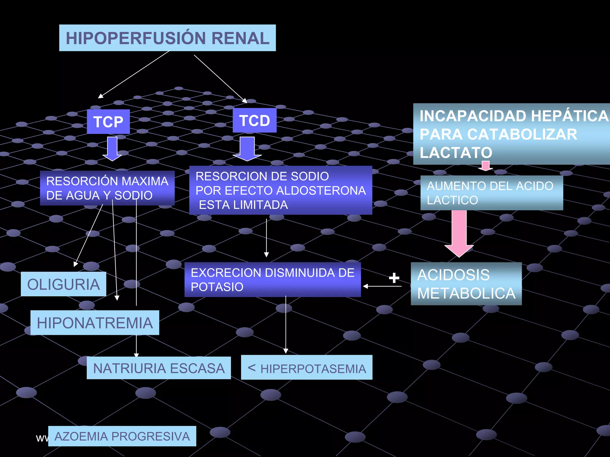 An%c3%a1lisis%20de%20 gases%20arteriales higado%20ri%c3%b1on%20diabetes ...
