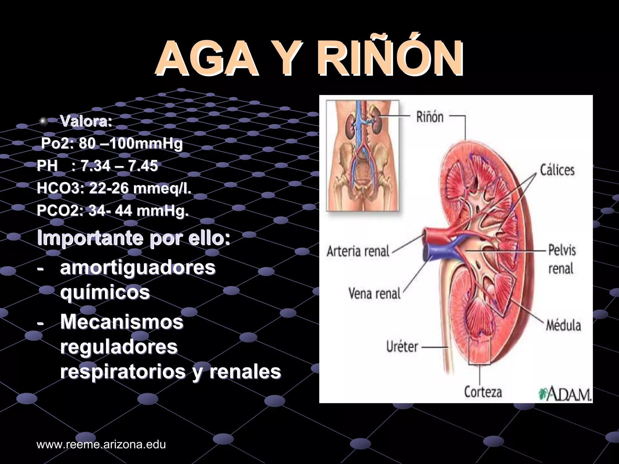 An%c3%a1lisis%20de%20 gases%20arteriales higado%20ri%c3%b1on%20diabetes ...