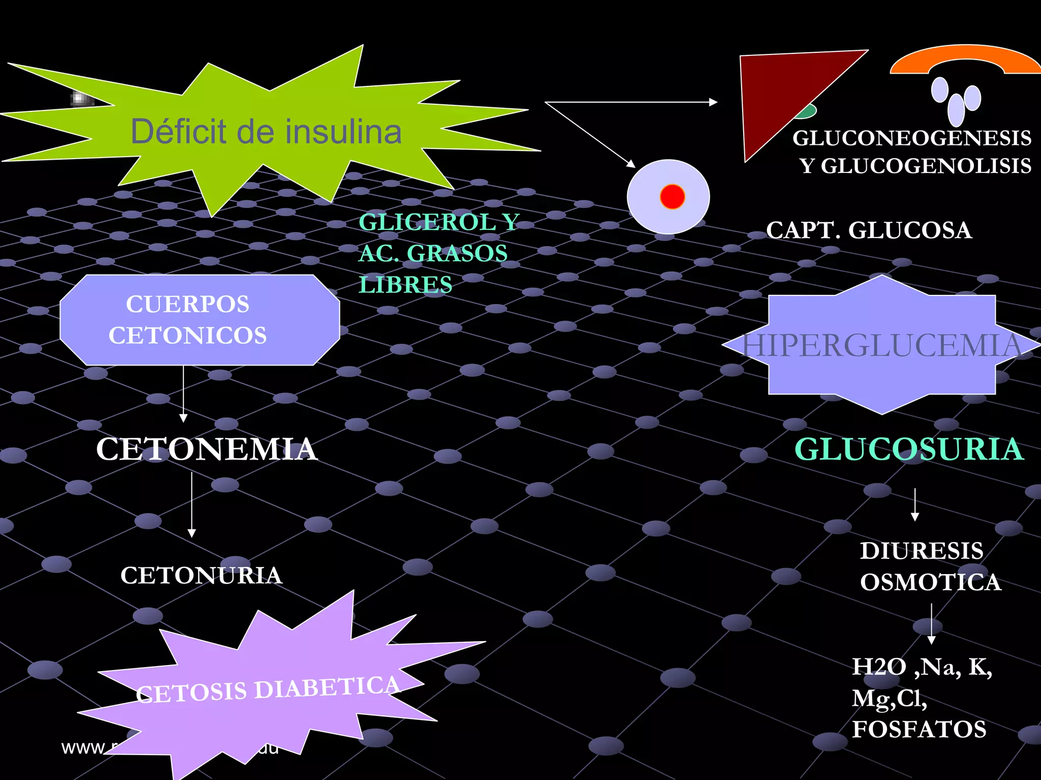 An%c3%a1lisis%20de%20 gases%20arteriales higado%20ri%c3%b1on%20diabetes ...