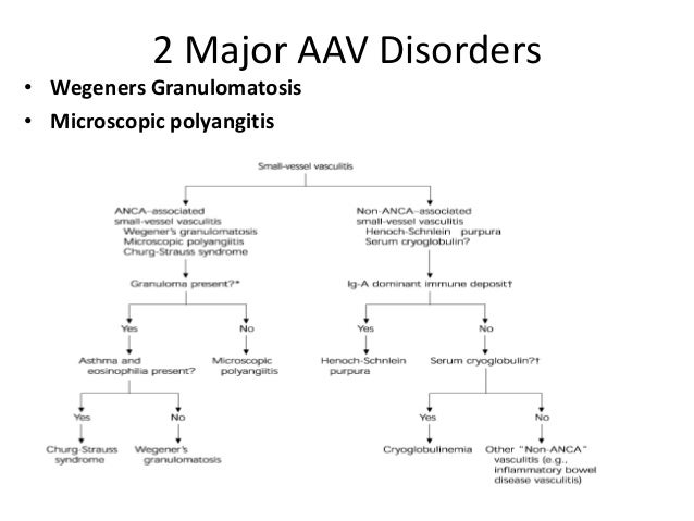 Genetically Distinct differences of ANCA-Associated Vasculitis Disord…