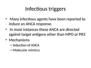 ANCA PATHOGENESIS- A BASIC APPROACH.pptx