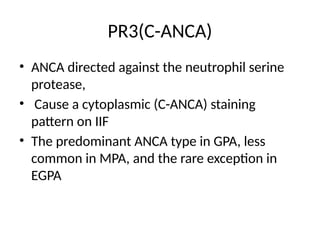 ANCA PATHOGENESIS- A BASIC APPROACH.pptx