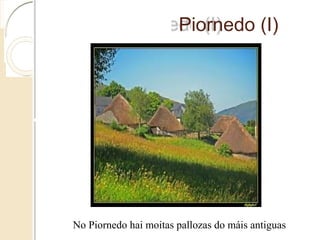Piornedo (I)
No Piornedo hai moitas pallozas do máis antiguas
 