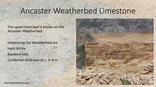 Ancaster Weatherbed | PPTX