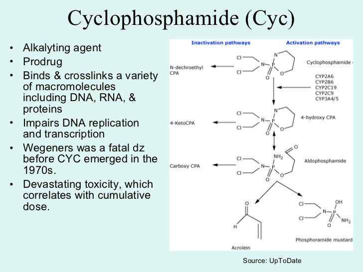 Pulse vs. Daily Oral Cyclophosphamide for Induction of Pulse vs. Daily Oral Cyclophosphamide for Induction of