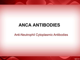ANCA ANTIBODIES
Anti-Neutrophil Cytoplasmic Antibodies
 