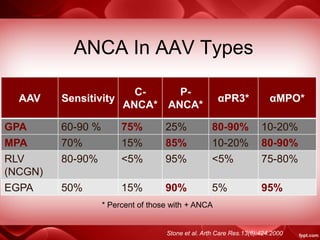 ANCA In AAV Types
AAV Sensitivity
C-
ANCA*
P-
ANCA*
αPR3* αMPO*
GPA 60-90 % 75% 25% 80-90% 10-20%
MPA 70% 15% 85% 10-20% 80-90%
RLV
(NCGN)
80-90% <5% 95% <5% 75-80%
EGPA 50% 15% 90% 5% 95%
* Percent of those with + ANCA
Stone et al. Arth Care Res.13(6):424.2000
 