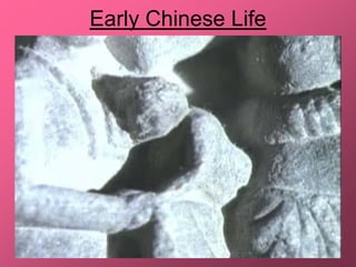 Early Chinese Life
 