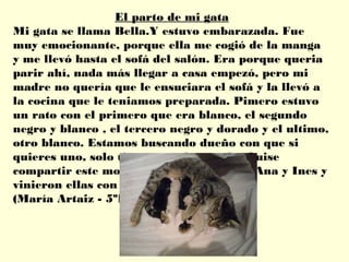 El parto de mi gata
Mi gata se llama Bella.Y estuvo embarazada. Fue
muy emocionante, porque ella me cogió de la manga
y me llevó hasta el sofá del salón. Era porque queria
parir ahí, nada más llegar a casa empezó, pero mi
madre no quería que le ensuciara el sofá y la llevó a
la cocina que le teniamos preparada. Pimero estuvo
un rato con el primero que era blanco, el segundo
negro y blanco , el tercero negro y dorado y el ultimo,
otro blanco. Estamos buscando dueño con que si
quieres uno, solo tienes que decírmelo. Quise
compartir este momento con mis amigas Ana y Ines y
vinieron ellas con sus padres.
(María Artaiz - 5ºD)
 