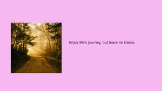 Enjoy life's journey, but leave no tracks.
 