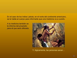 En el caso de los indios Lakota, en el norte del continente americano, se le habla al cuerpo para informarle que una medicina va a curarlo.  A la medicina también se  le informa del propósito  para el que será utilizada.  Y, lógicamente, las personas sanan… 