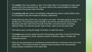 • The cuticle is the’ very-outside’ or ‘skin’ of the cotton fiber. It is composed of a waxy layer
(pectin) only a few molecules thick. The waxy nature of the cuticle enables it to adhere
tenaciously to the primary wall of the fiber.
• The primary cell wall, which is immediately underneath the cuticle, is about 200nm thick.
It is composed of very fine threads of cellulose, called fibrils.
• These fibrils are about 20nm thick, but length is not known. The fibrils spiral at about 70° to
the fiber axis. This spiraling imparts strength to the primary cell wall and hence, to the
Secondary cell wall, which forms the bulk of the fiber. Concentric layers of spiraling,
cellulosic fibrils, not unlike the growth rings of trees, make up the secondary wall.
• The hollow canal, running the length of the fiber, Is called the lumen.
• The lumen was once the central vacuole of the growing cotton fiber. It was full of cell sap,
which was composed of a dilute, aqueous solution of proteins, sugars, minerals and
cellwaste products.
• When the sap evaporated, its constituents remained behind to contribute to the color of the
cotton fiber. • This caused the fiber to collapse inward resulting in the characteristics
kidney-shaped crosssection of the cotton fiber.
 