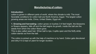 Manufacturing of cotton-
Introduction-
cotton is grown in different parts of world, where the climate is mild. The most
favorable conditions for cotton belt are North America, Egypt. The largest cotton
growing areas are India, China, United States, Egypt etc.
1. Growing and harvesting- cotton grows on bushes 3-4 feet height, the blossoms
or flowers appears, falls off and the ball begins its growth, inside the ball are the
seeds from which the cotton fibers grow.
This is also called seed hair. When ball is ripe, it splits open and the fluffy white
cotton stands out from the ball.
The cotton is picked up with the help of machine or by hand. Cotton gets discolored
and dirty if it is kept on plant for longer duration.
 