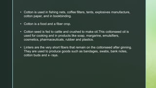• Cotton is used in fishing nets, coffee filters, tents, explosives manufacture,
cotton paper, and in bookbinding.
• Cotton is a food and a fiber crop.
• Cotton seed is fed to cattle and crushed to make oil.This cottonseed oil is
used for cooking and in products like soap, margarine, emulsifiers,
cosmetics, pharmaceuticals, rubber and plastics.
• Linters are the very short fibers that remain on the cottonseed after ginning.
They are used to produce goods such as bandages, swabs, bank notes,
cotton buds and x- rays.
 