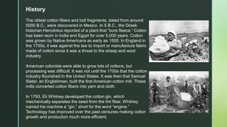 History
The oldest cotton fibers and boll fragments, dated from around
5000 B.C., were discovered in Mexico. In 5 B.C., the Greek
historian Herodotus reported of a plant that “bore fleece.” Cotton
has been worn in India and Egypt for over 5,000 years. Cotton
was grown by Native Americans as early as 1500. In England in
the 1700s, it was against the law to import or manufacture fabric
made of cotton since it was a threat to the sheep and wool
industry.
American colonists were able to grow lots of cottons, but
processing was difficult. It was not until the 1700s that the cotton
industry flourished in the United States. It was then that Samuel
Slater, an Englishman, built the first American cotton mill. These
mills converted cotton fibers into yarn and cloth.
In 1793, Eli Whitney developed the cotton gin, which
mechanically separates the seed from the lint fiber. Whitney
named his machine a “gin,” short for the word “engine.”
Technology has improved over the past centuries making cotton
growth and production much more efficient.
 