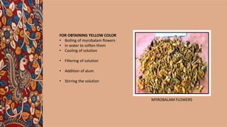 FOR OBTAINING YELLOW COLOR
• Boiling of myrobalam flowers
• in water to soften them
• Cooling of solution
• Filtering of solution
• Addition of alum
• Stirring the solution
MYROBALAM FLOWERS
 
