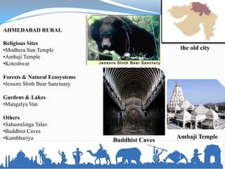 AHMEDABAD RURAL

Religious Sites
•Modhera Sun Temple                               the old city
•Ambaji Temple
•Koteshwar

Forests & Natural Ecosystems
•Jessore Sloth Bear Sanctuary

Gardens & Lakes
•Mangalya Van

Others
•Sahasralinga Talav
•Buddhist Caves
•Kumbhariya                                      Ambaji Temple
                                Buddhist Caves
 