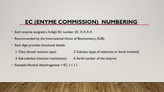Ec Number Comprehensive Overview of Enzyme Nomenclature, Classification, and ...