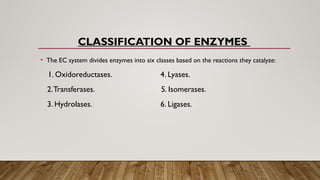 Comprehensive Overview of Enzyme Nomenclature, Classification, and ...