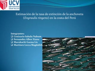 Estimación de la tasa de extinción de la anchoveta
(Engraulis ringens) en la costa del Perú
Integrantes:
 Cenizario Sabalu Nahum
 Fernandez Albor Xiana
 Macukachi Gaona Lis
 Martinez Lecca Magdalith
 