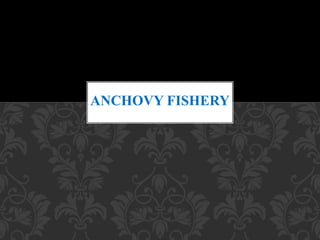 ANCHOVY FISHERY
 