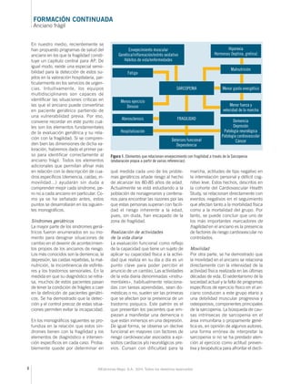 FORMACIÓN CONTINUADA 
Anciano frágil 
En nuestro medio, recientemente se 
han propuesto programas de salud del 
anciano en los que la fragilidad consti-tuye 
un capítulo central para AP. De 
igual modo, existe una especial sensi-bilidad 
para la detección de estos su-jetos 
en la valoración hospitalaria, par-ticularmente 
en los servicios de urgen-cias. 
Intuitivamente, los equipos 
multidisciplinares son capaces de 
identifi car las situaciones críticas en 
las que el anciano puede convertirse 
en paciente geriátrico partiendo de 
una vulnerabilidad previa. Por eso, 
conviene recordar en este punto cuá-les 
son los elementos fundamentales 
de la evaluación geriátrica y su rela-ción 
con la fragilidad. Si se compren-den 
bien las dimensiones de dicha va-loración, 
habremos dado el primer pa-so 
para identifi car correctamente al 
anciano frágil. Todos los elementos 
adicionales que permitan afi nar más 
en relación con la descripción de cua-dros 
específi cos (demencia, caídas, in-movilidad...) 
ayudarán sin duda a 
comprender mejor cada síndrome, pe-ro 
no a cada anciano en particular. Co-mo 
ya se ha señalado antes, estos 
puntos se desarrollarán en los siguien-tes 
monográfi cos. 
Síndromes geriátricos 
La mayor parte de los síndromes geriá-tricos 
fueron enumerados en su mo-mento 
para designar situaciones de 
cambio en el devenir de acontecimien-tos 
propios de los ancianos de riesgo. 
Los más conocidos son la demencia, la 
depresión, las caídas repetidas, la mal-nutrición, 
la incontinencia de esfínte-res 
y los trastornos sensoriales. En la 
medida en que su diagnóstico se retra-sa, 
muchos de estos pacientes pasan 
de tener la condición de frágiles a caer 
en la defi nición de pacientes geriátri-cos. 
Se ha demostrado que la detec-ción 
y el control precoz de estas situa-ciones 
permiten evitar la incapacidad. 
En los monográfi cos siguientes se pro-fundiza 
en la relación que estos sín-dromes 
tienen con la fragilidad y los 
elementos de diagnóstico e interven-ción 
específi cos en cada caso. Proba-blemente 
quede por determinar en 
Hiporexia 
Hormonas (leptina, grelina) 
Malnutrición 
Menor gasto energético 
Menor fuerza y 
velocidad de la marcha 
Envejecimiento muscular 
Genética/inflamación/estrés oxidativo 
Hábitos de vida/enfermedades 
Aterosclerosis FRAGILIDAD 
Deterioro funcional 
Dependencia 
Demencia 
Depresión 
Patología neurológica 
Patología cardiovascular 
Cáncer 
Figura 1. Elementos que relacionan envejecimiento con fragilidad a través de la Sarcopenia 
(elaboración propia a partir de varias referencias) 
qué medida cada uno de los proble-mas 
geriátricos añade riesgo al hecho 
de alcanzar los 80-85 años de edad. 
Actualmente se está estudiando a la 
población de nonagenarios y centena-rios 
para encontrar las razones por las 
que estas personas superan con facili-dad 
el riesgo inherente a la edad, 
pues, sin duda, han escapado de la 
zona de fragilidad. 
Realización de actividades 
de la vida diaria 
La evaluación funcional como refl ejo 
de la capacidad que tiene un sujeto de 
aplicar su capacidad física a la activi-dad 
que realiza en su día a día es un 
punto clave para poder percibir el 
anuncio de un cambio. Las actividades 
de la vida diaria denominadas «instru-mentales 
», habitualmente relaciona-das 
con tareas aprendidas, sean do-mésticas 
o no, suelen ser las primeras 
que se afectan por la presencia de un 
trastorno psíquico. Este patrón es el 
que presentan los pacientes que em-piezan 
a manifestar una demencia o 
que están inmersos en una depresión. 
De igual forma, se observa un declive 
funcional en mayores con factores de 
riesgo cardiovascular asociados a epi-sodios 
cardiacos y/o neurológicos pre-vios. 
Cursan con dificultad para la 
marcha, actitudes de tipo negativo en 
la interrelación personal y défi cit cog-nitivo 
4 ©Ediciones Mayo, S.A., 2014. Todos los derechos reservados 
leve. Estos hechos, descritos en 
la cohorte del Cardiovascular Health 
Study, se relacionan directamente con 
eventos negativos en el seguimiento 
que afectan tanto a la morbilidad física 
como a la mortalidad del grupo. Por 
tanto, se puede concluir que uno de 
los más importantes marcadores de 
fragilidad en el anciano es la presencia 
de factores de riesgo cardiovascular no 
controlados. 
Movilidad 
Por otra parte, se ha demostrado que 
la movilidad en el anciano se relaciona 
directamente con la intensidad de la 
actividad física realizada en las últimas 
décadas de vida. El sedentarismo de la 
sociedad actual y la falta de programas 
específi cos de ejercicio físico en el an-ciano 
conducen a este grupo etario a 
una debilidad muscular progresiva y 
osteoporosis, componentes principales 
de la sarcopenia. La búsqueda de cau-sas 
intrínsecas de sarcopenia en el 
área inmunitaria o propiamente gené-tica 
es, en opinión de algunos autores, 
una forma errónea de interpretar la 
sarcopenia si no se ha prestado aten-ción 
al ejercicio como actitud preven-tiva 
y terapéutica para afrontar el decli- 
Hospitalización 
SARCOPENIA 
Fatiga 
Menos ejercicio 
Desuso 
 