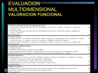 EVALUACION
MULTIDIMENSIONAL
VALORACION FUNCIONAL
 