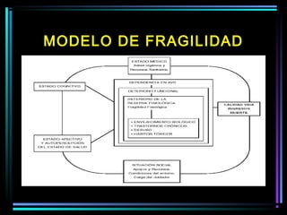 MODELO DE FRAGILIDAD
 