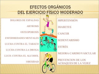 DOLORES DE ESPALDAS    HIPERTENSIÓN

              ARTROSIS    DIABETES
          OSTEOPOROSIS
                          CANCER
ENFERMEDADES MENTALES
                          SEDENTARISMO
LUCHA CONTRA EL TABACO
                          ESTRÉS
 LUCHA CONTRA LA DROGA
                          MEJORA CARDIO/VASCULAR
LUCH. CONTRA EL ALCOHOL
                          PREVENCION DE LOS
              OBESIDAD
                          ACHAQUES DE LA VEJEZ
 
