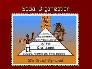 Social Organization